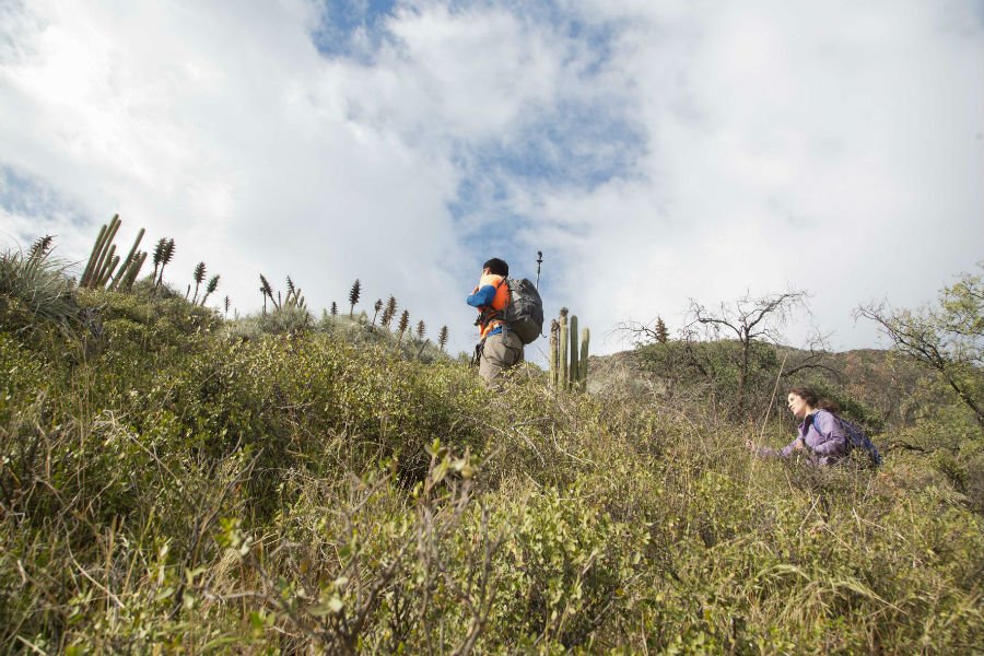 Persona subiendo el cerro Manquehuito al atardecer