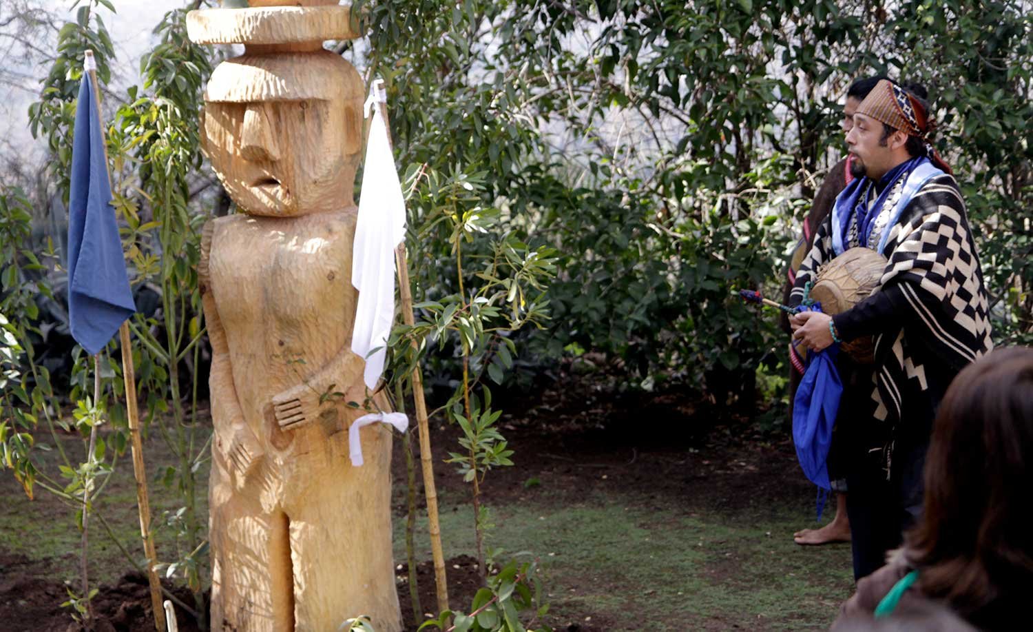 Celebración de We Tripantu en la cultura mapuche