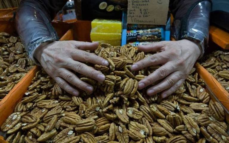 Cuánto vale 1 kg de Nuez en Chile: Guía de precios actualizados