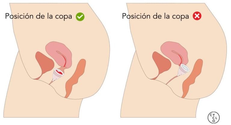 Cómo usar tampones Guía y video de Naya Fácil