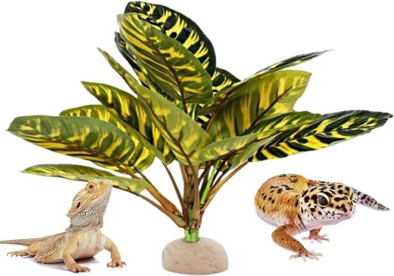 Qué mascotas exóticas son legales en Chile: guía completa