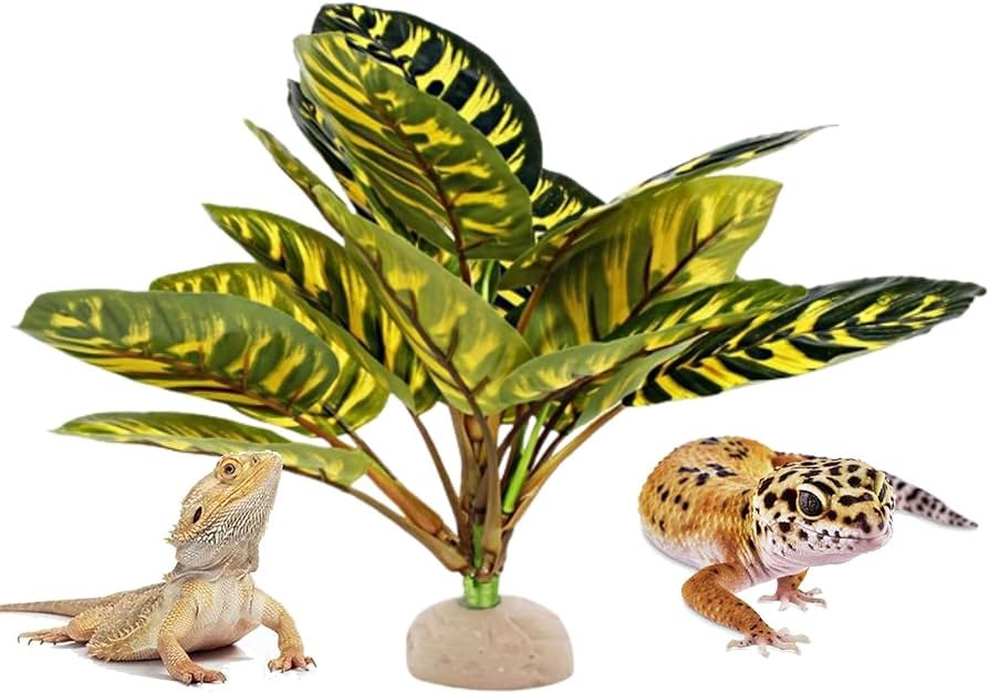 lagarto crestado en terrario con plantas tropicales