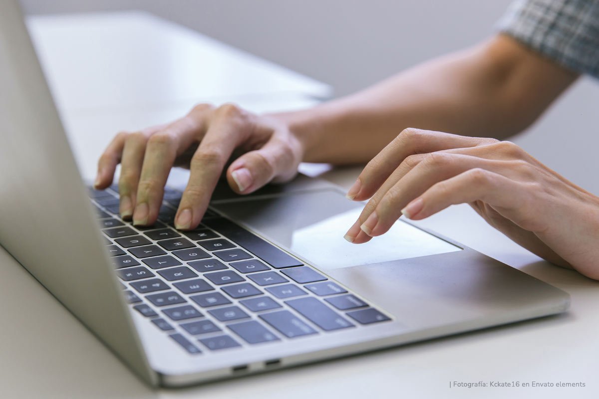 persona buscando informacion en la pagina web