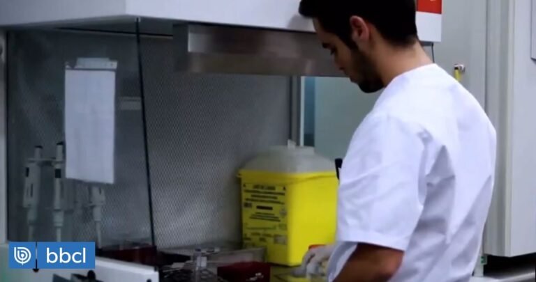 Cómo donar esperma en Chile: guía paso a paso