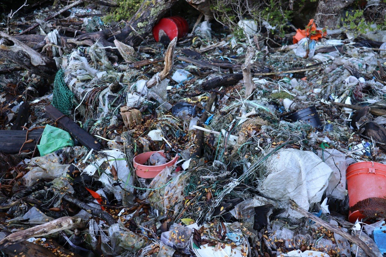 residuos especiales reas siendo gestionados en chile