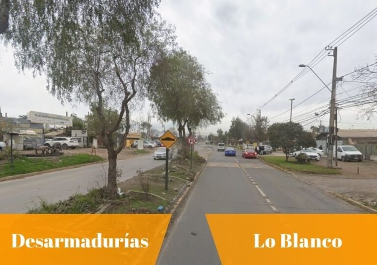 Dónde encontrar una desarmaduría en Lo Blanco, San Bernardo