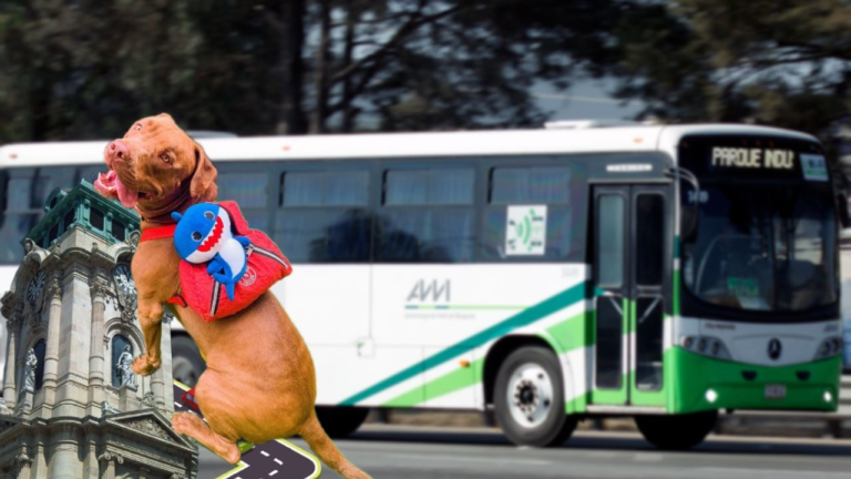 Cómo viajar con mascotas en Tur Bus: guía práctica